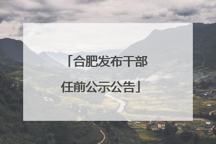 合肥发布干部任前公示公告