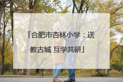 合肥市杏林小学：送教古城 互学共研