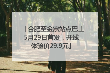 合肥至金寨站点巴士5月29日首发，开线体验价29.9元