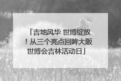 吉地风华 世博绽放！从三个亮点回眸大阪世博会吉林活动日