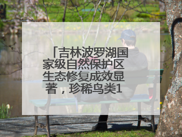 吉林波罗湖国家级自然保护区生态修复成效显著，珍稀鸟类10年增加5倍