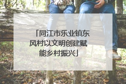 同江市乐业镇东风村以文明创建赋能乡村振兴