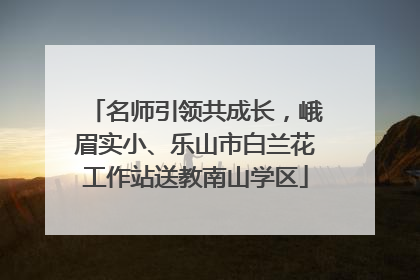 名师引领共成长，峨眉实小、乐山市白兰花工作站送教南山学区