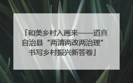 和美乡村入画来——道真自治县“两清两改两治理”书写乡村振兴新答卷