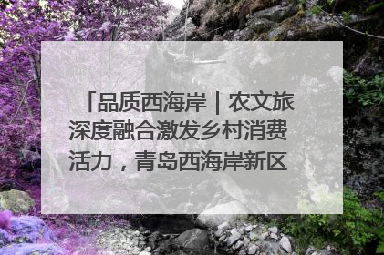 品质西海岸｜农文旅深度融合激发乡村消费活力，青岛西海岸新区的乡村振兴实践