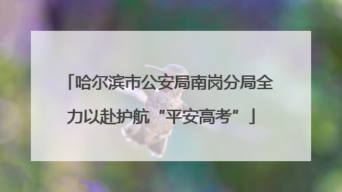 哈尔滨市公安局南岗分局全力以赴护航“平安高考”