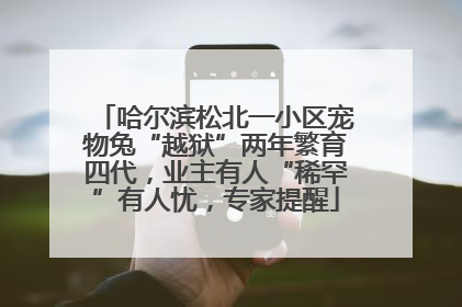 哈尔滨松北一小区宠物兔“越狱”两年繁育四代，业主有人“稀罕”有人忧，专家提醒