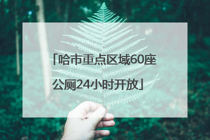 哈市重点区域60座公厕24小时开放