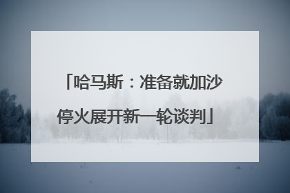 哈马斯：准备就加沙停火展开新一轮谈判
