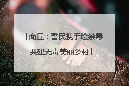 商丘：警民携手绘禁毒 共建无毒美丽乡村
