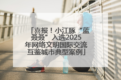 喜报！小江豚“蓝叒叒”入选2025年网络文明国际交流互鉴城市典型案例