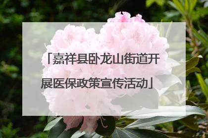 嘉祥县卧龙山街道开展医保政策宣传活动