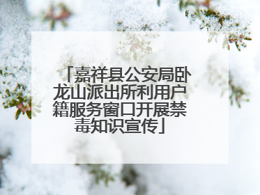 嘉祥县公安局卧龙山派出所利用户籍服务窗口开展禁毒知识宣传