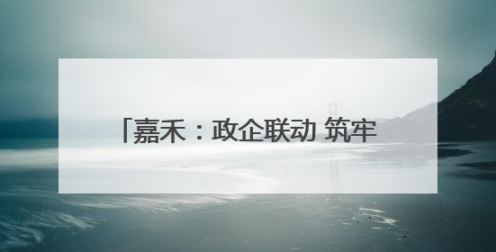 嘉禾：政企联动 筑牢安全生产“防火墙”