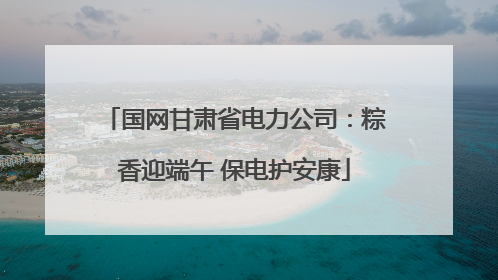 国网甘肃省电力公司：粽香迎端午 保电护安康