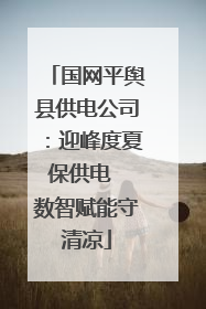 国网平舆县供电公司：迎峰度夏保供电  数智赋能守清凉