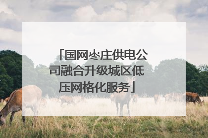 国网枣庄供电公司融合升级城区低压网格化服务