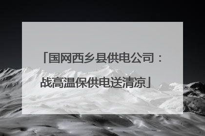 国网西乡县供电公司：战高温保供电送清凉