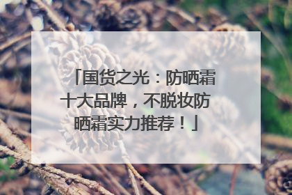国货之光：防晒霜十大品牌，不脱妆防晒霜实力推荐！