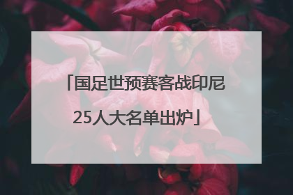 国足世预赛客战印尼25人大名单出炉