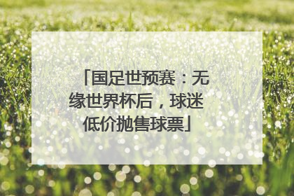 国足世预赛：无缘世界杯后，球迷低价抛售球票