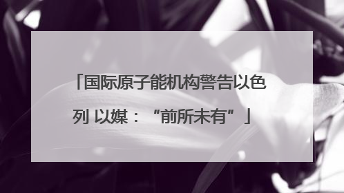 国际原子能机构警告以色列 以媒：“前所未有”