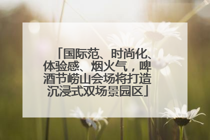 国际范、时尚化、体验感、烟火气，啤酒节崂山会场将打造沉浸式双场景园区