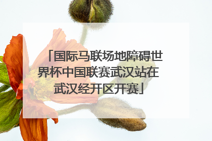 国际马联场地障碍世界杯中国联赛武汉站在武汉经开区开赛