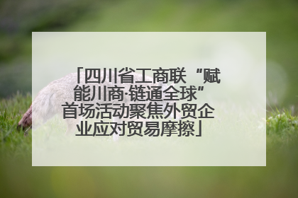 四川省工商联“赋能川商·链通全球”首场活动聚焦外贸企业应对贸易摩擦