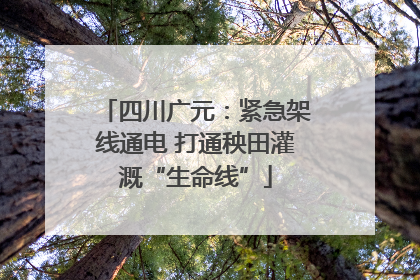 四川广元：紧急架线通电 打通秧田灌溉“生命线”