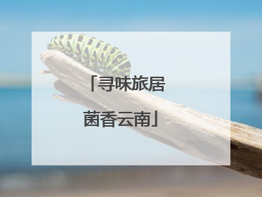 寻味旅居 菌香云南