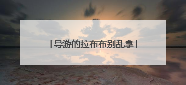 导游的拉布布别乱拿