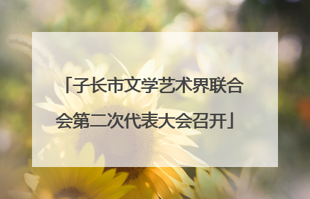 子长市文学艺术界联合会第二次代表大会召开