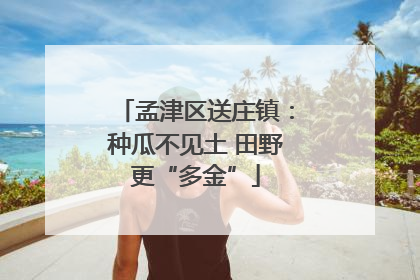 孟津区送庄镇：种瓜不见土 田野更“多金”