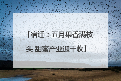 宿迁：五月果香满枝头 甜蜜产业迎丰收