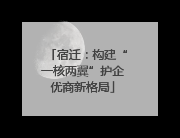 宿迁：构建“一核两翼”护企优商新格局