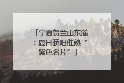 宁夏贺兰山东麓：夏日骄阳催熟“紫色名片”