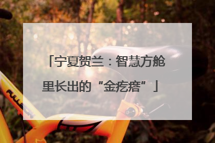 宁夏贺兰：智慧方舱里长出的“金疙瘩”
