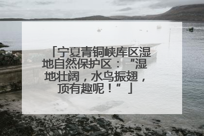 宁夏青铜峡库区湿地自然保护区：“湿地壮阔，水鸟振翅，顶有趣呢！”