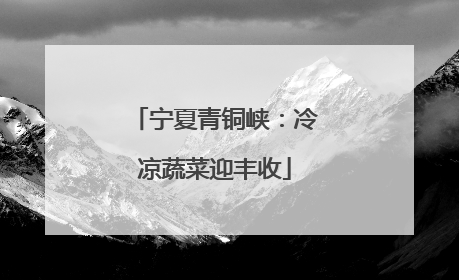 宁夏青铜峡：冷凉蔬菜迎丰收