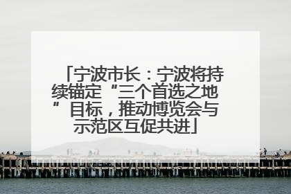 宁波市长：宁波将持续锚定“三个首选之地”目标，推动博览会与示范区互促共进