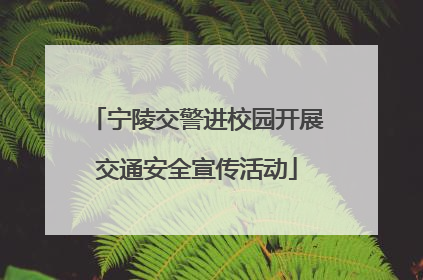 宁陵交警进校园开展交通安全宣传活动