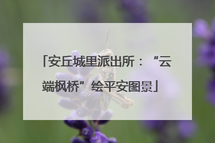 安丘城里派出所：“云端枫桥”绘平安图景