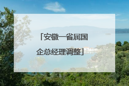 安徽一省属国企总经理调整