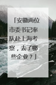 安徽两位市委书记率队赴上海考察，去了哪些企业？