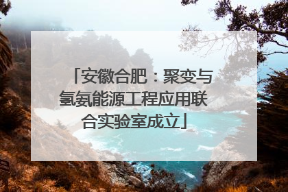 安徽合肥：聚变与氢氨能源工程应用联合实验室成立