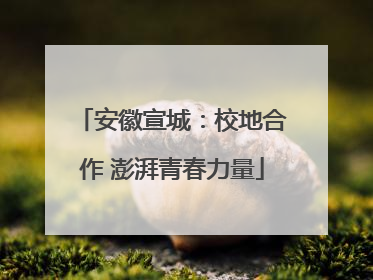 安徽宣城：校地合作 澎湃青春力量
