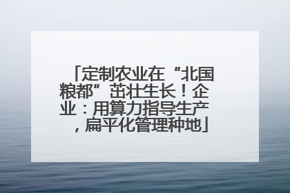 定制农业在“北国粮都”茁壮生长！企业：用算力指导生产，扁平化管理种地