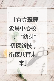 宜宾翠屏象鼻中心校：“幼芽”初探新枝，衔接共育未来