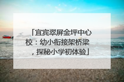 宜宾翠屏金坪中心校：幼小衔接架桥梁，探秘小学初体验